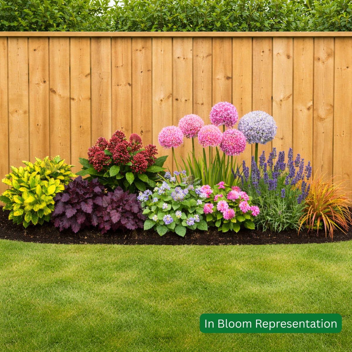 Seasonal All Year Interest Planter/Border Pack (9 Plants)