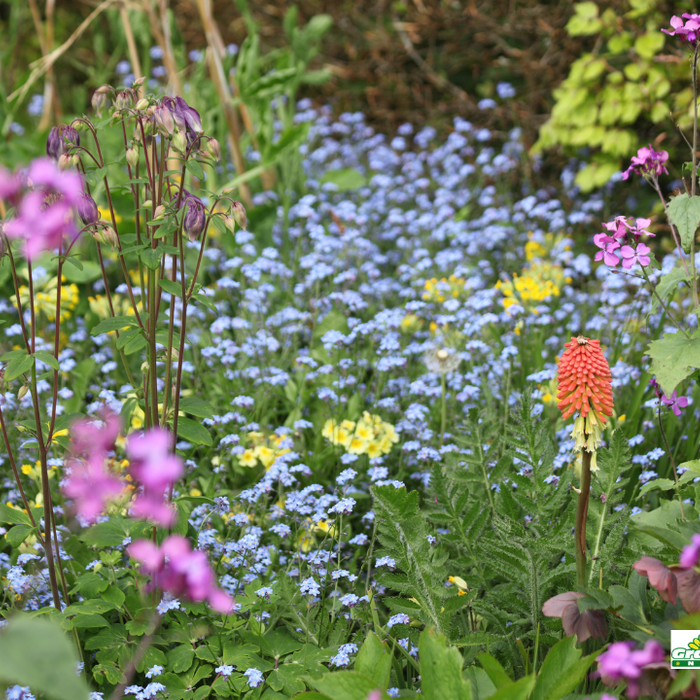 Right Plant For The Right Place