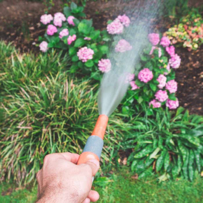 How To Keep Your Plants Hydrated During A Hosepipe Ban
