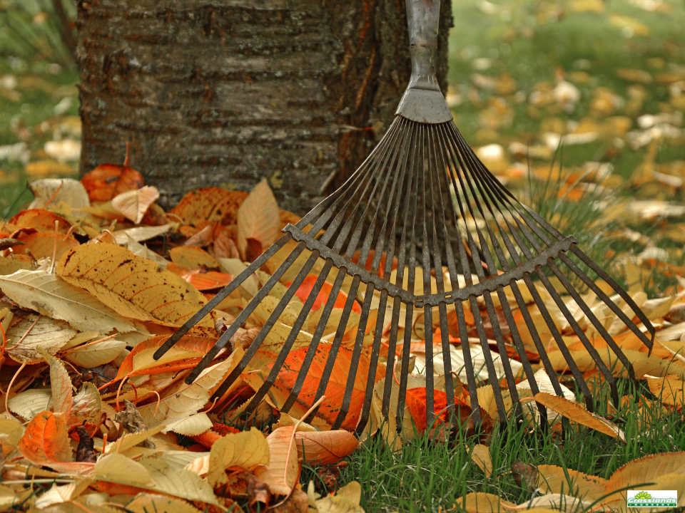 October Gardening Jobs
