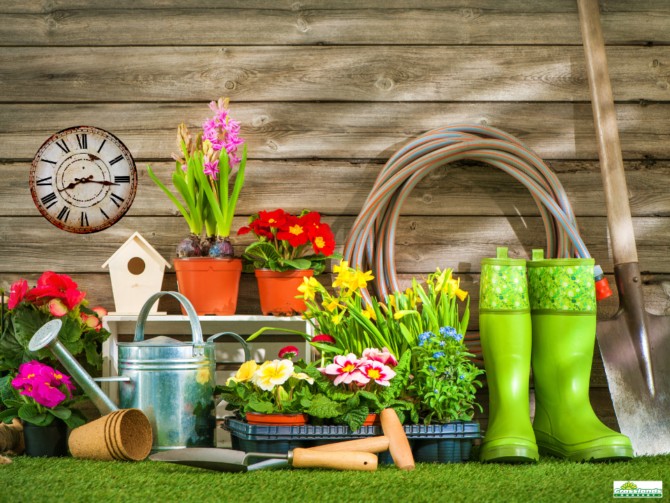 British Summer Time Is Here...More Time In The Garden!