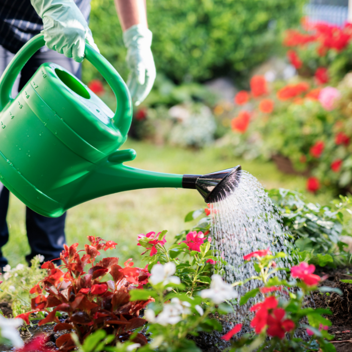 Smart Tips For A Thirsty Landscape