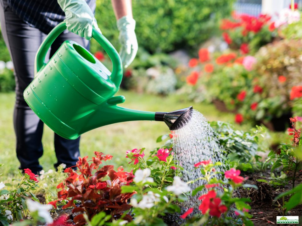 Smart Tips For A Thirsty Landscape