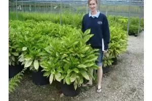 Right Plant For The Right Place