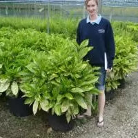 Right Plant For The Right Place
