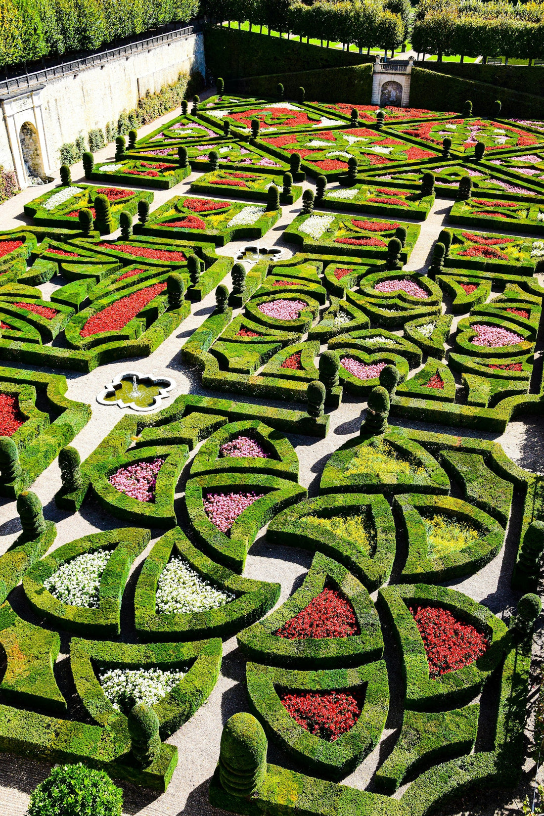 The Artful Origins of Pleached Trees: A Historical Perspective
