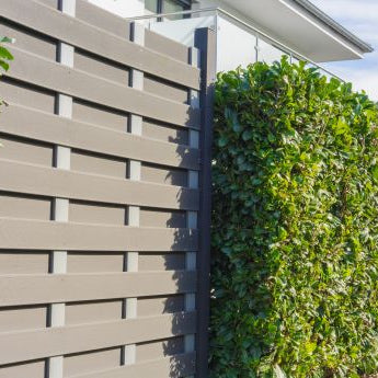 How to Plant & Care For A Laurel Hedge