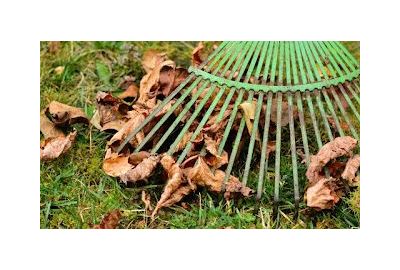 Seasonal To-Do List - Autumn/Winter