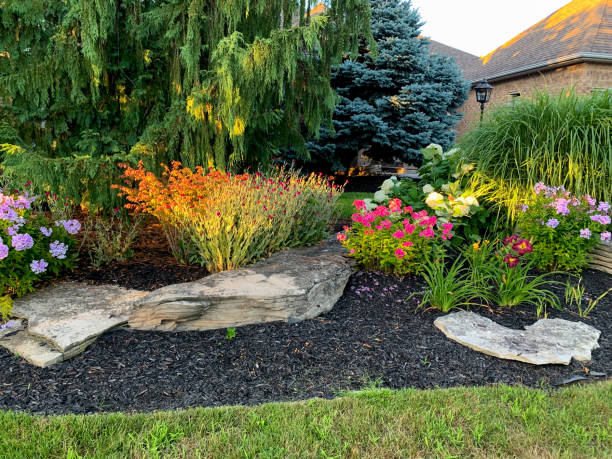 Plants in a new build garden, there are lots of colours of plants in this image