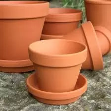 Plant Pot Size Guide