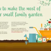 How to make the most of your small family garden