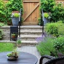 What are the best shrubs for small gardens?