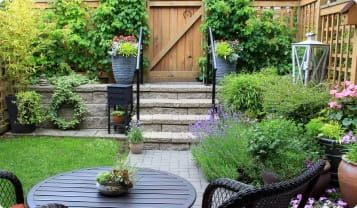 What are the best shrubs for small gardens?