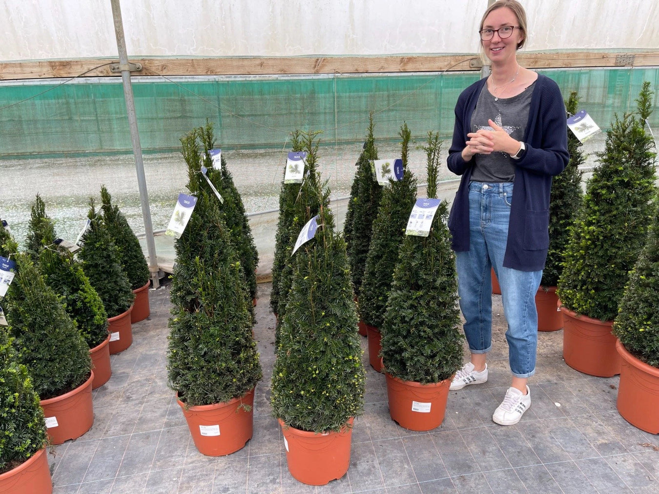 Topiary Cones