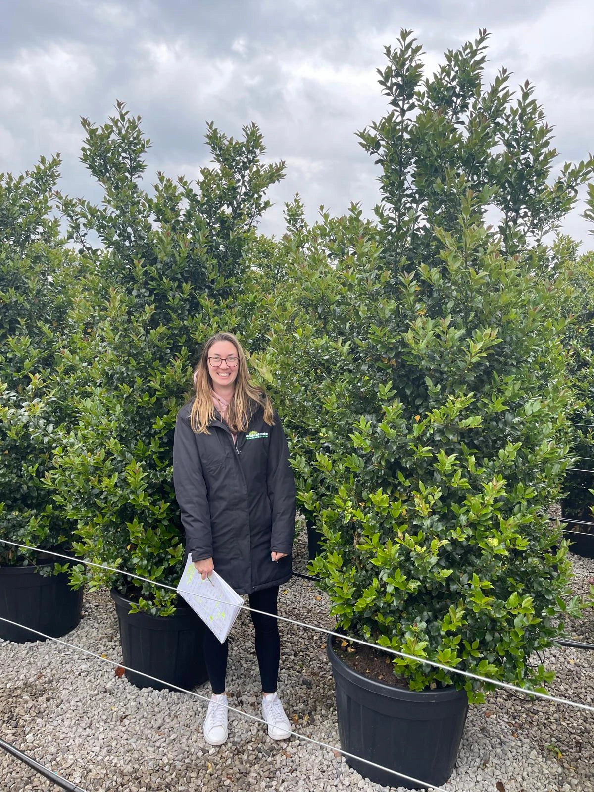 Evergreen Hedging