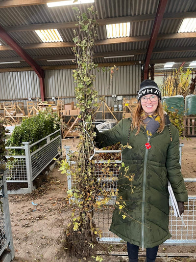 Hawthorn Hedging Big Deals