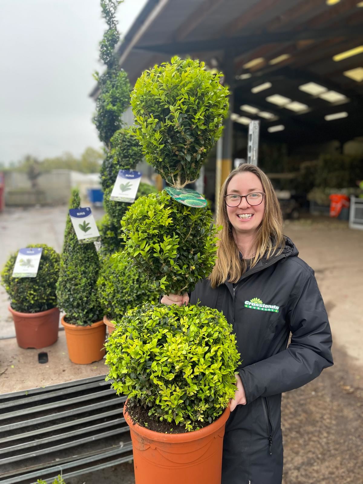 Topiary Ball Stacks
