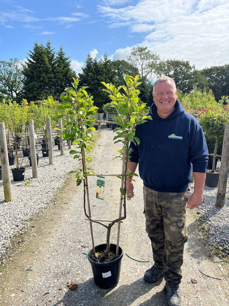 Apple Malus James Grieve 15 Litre Pot Duo Frame