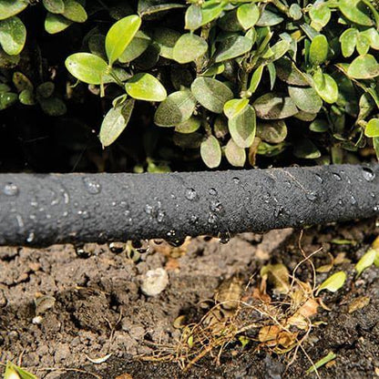 50m Hedge Watering Soaker Hose Kit