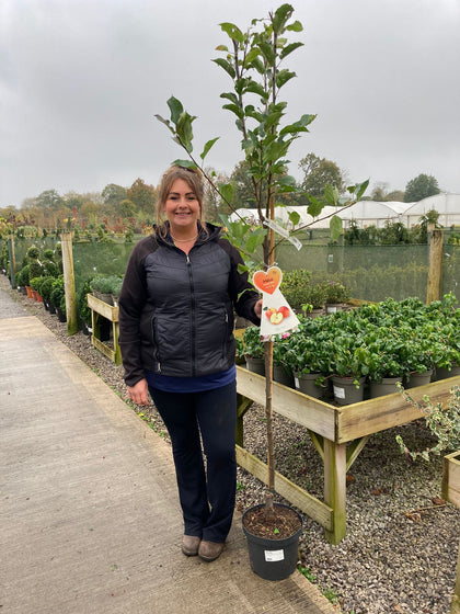 Apple Elstar 10 Litre Half Standard Delivery Feb / March