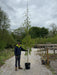 Betula Pen. Youngii Feathered 8-10cm Girth Pot Growing Ready-Pre-Order June