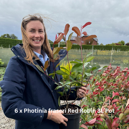 42 x Shrub Mix Border Pack