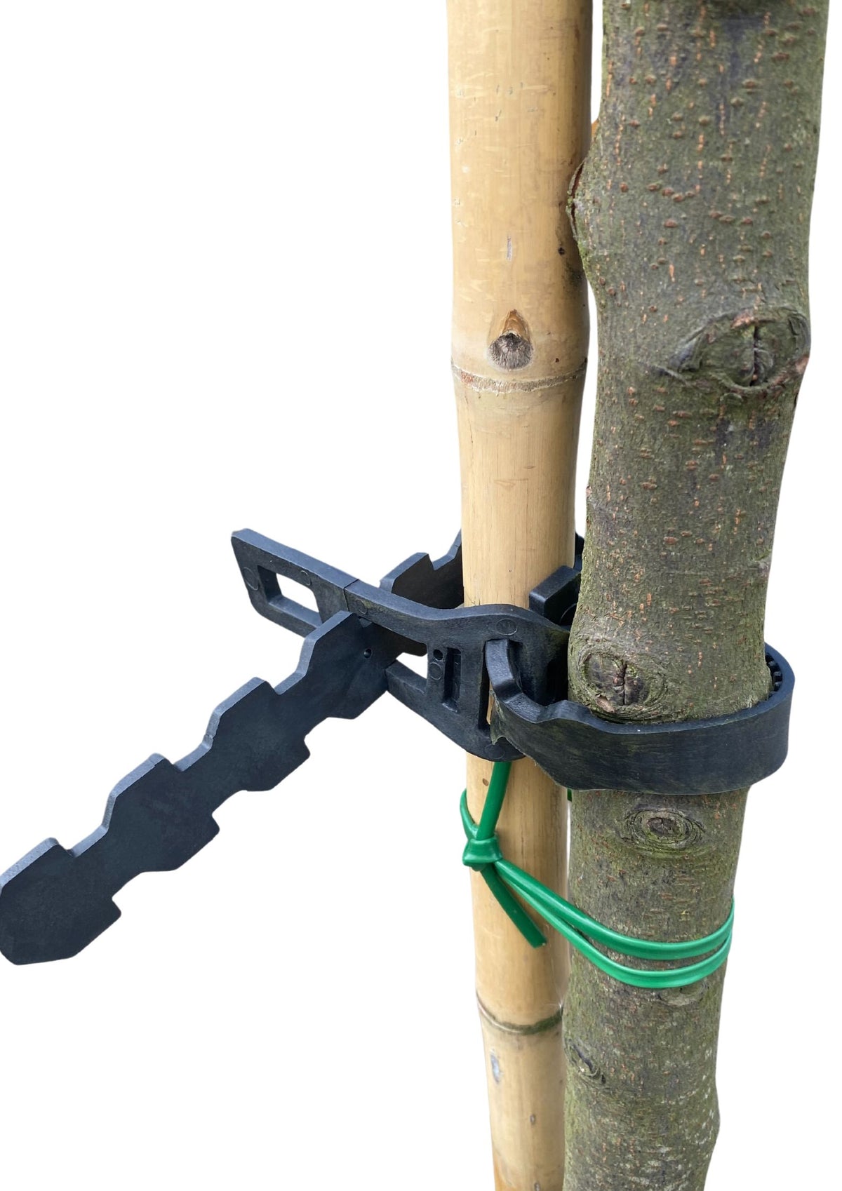 Tree Tie 60cm