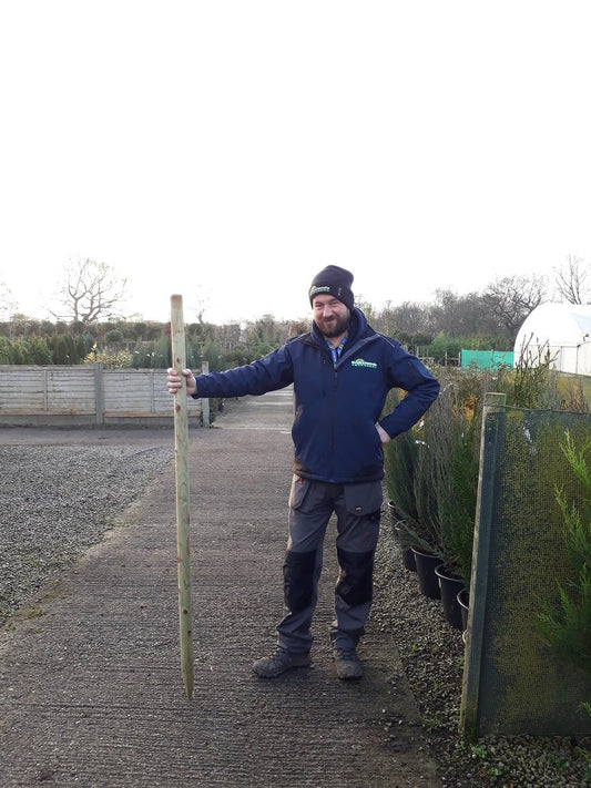 Tree Stake 165cm