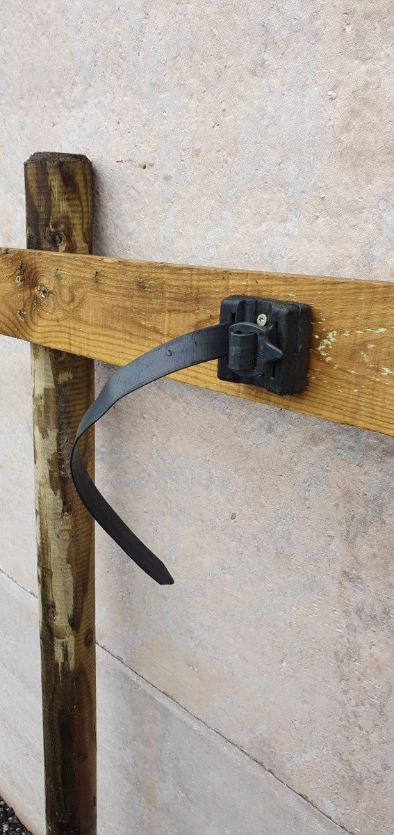 Heavy Duty Tree Staking Kit