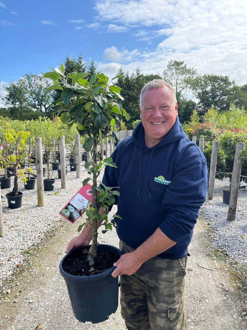Apple Malus Dom. Rhapsodie 15 Litre Pot Column Shape