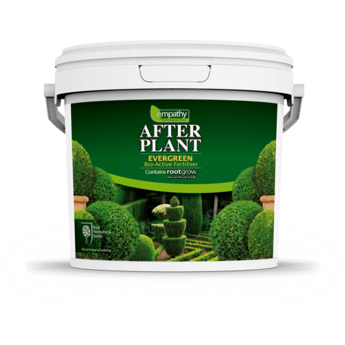 Afterplant Evergreen 10 kg