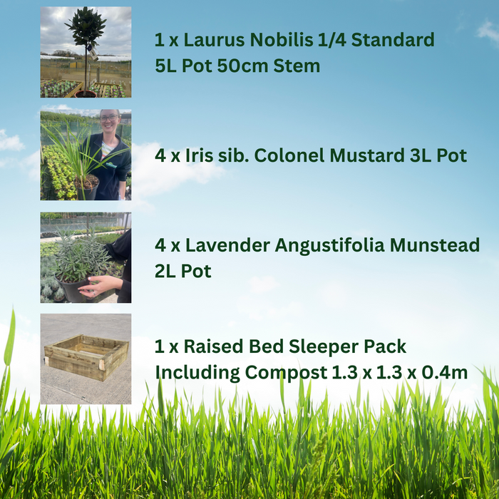 Raised Bed Planter Including Classic Elegance Planter Pack & Compost