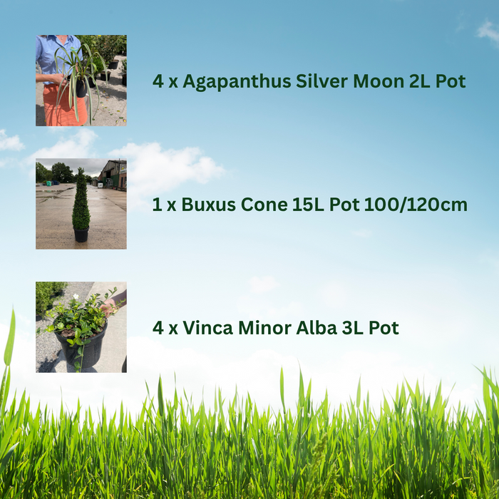 Statement Plants Border Pack