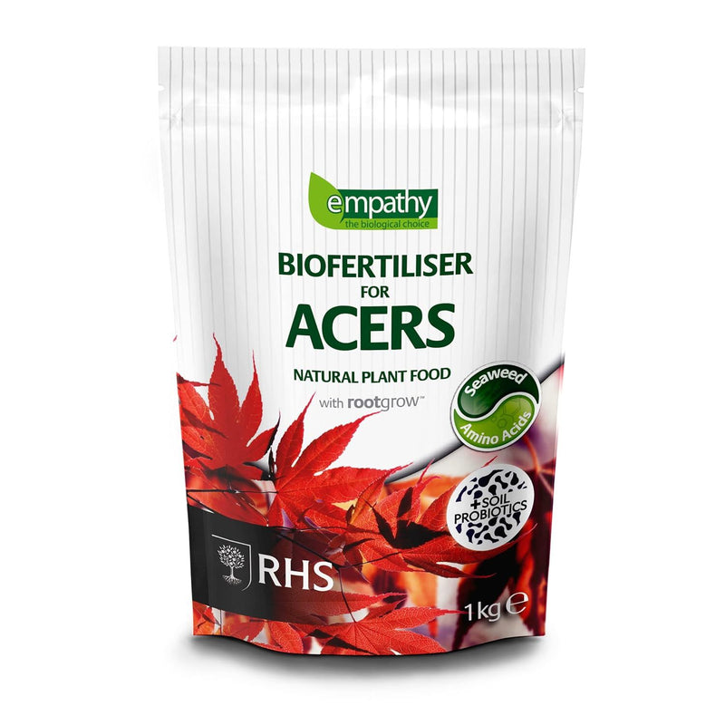 Afterplant Japanese Maple 1 KG