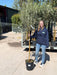 Olea Europea / Olive Tree 1/2 Standard 18 Litre Pot