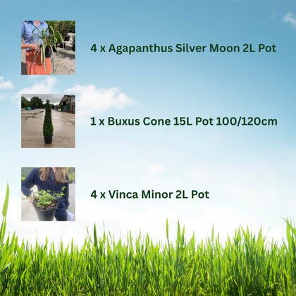 Statement Plants Border Pack