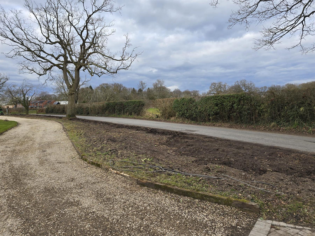 Laurel Hedging, Cherry Laurel Genolia 1.8m x 1m Instant Hedge Unit
