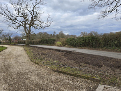 Laurel Hedging, Cherry Laurel Genolia 1.8m x 1m Instant Hedge Unit