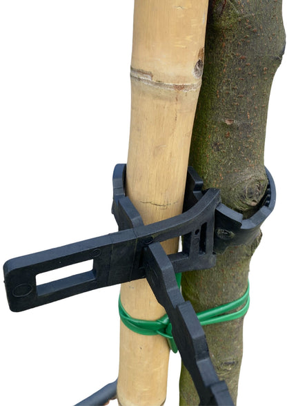 Tree Tie 60cm