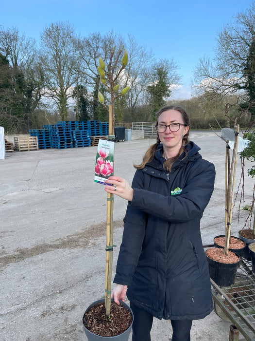Magnolia Satisfaction 5 Litre Pot 1/4 Standard