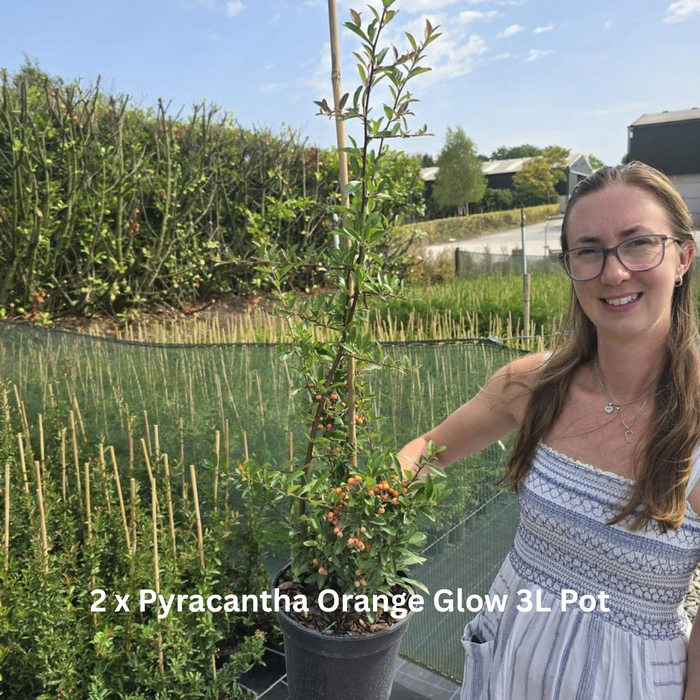 12 x Winter Colour Border Pack