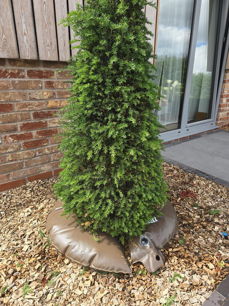 Tree Watering Ring Mobile Drip Irrigation