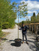 Pyrus Chanticleer Pleached Rootball 12/14cm Girth 180 Stem 150cm Wide x 120cm Tall Pre-Order For June