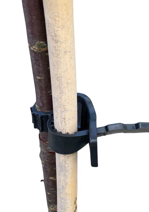 Tree Tie 40cm