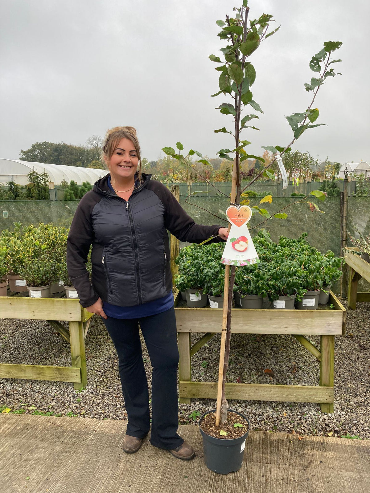 Apple Red Boskoop 7.5 Litre Half Standard