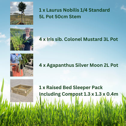 Raised Bed Planter Including Classic Elegance Planter Pack & Compost