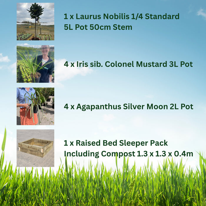 Raised Bed Planter Including Classic Elegance Planter Pack & Compost