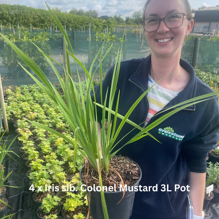 Raised Bed Planter Including Classic Elegance Planter Pack & Compost