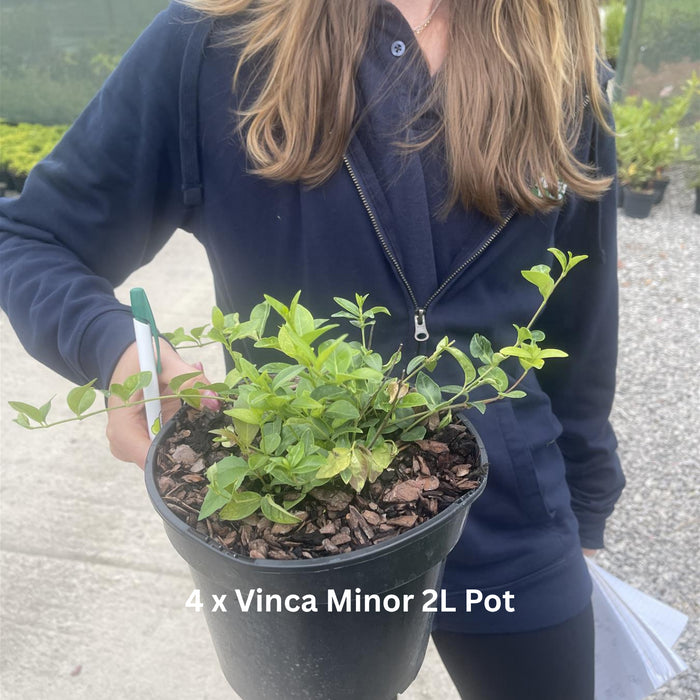 Raised Bed Planter Including Statement Border Pack & Compost