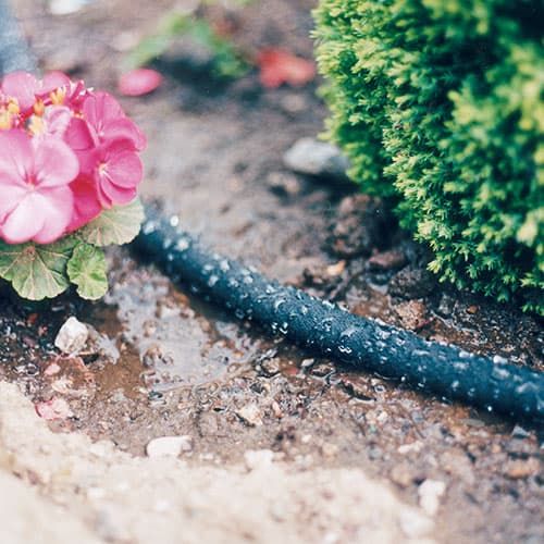100m Hedge Watering Soaker Hose Kit